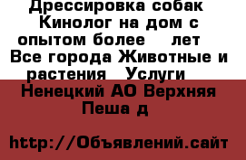 Дрессировка собак (Кинолог на дом с опытом более 10 лет) - Все города Животные и растения » Услуги   . Ненецкий АО,Верхняя Пеша д.